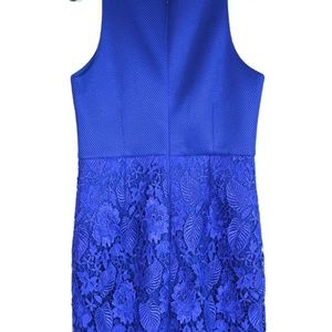 ISSUE NEW YORK Royal Blue Honeycomb Stretch Mesh